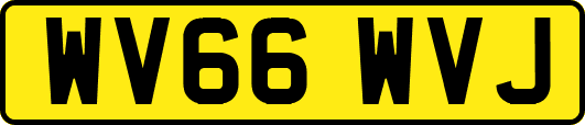 WV66WVJ