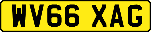 WV66XAG