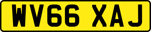 WV66XAJ