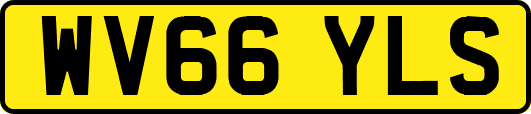 WV66YLS