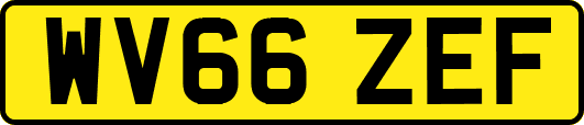 WV66ZEF
