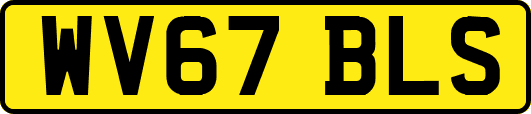 WV67BLS