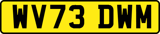 WV73DWM