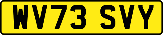 WV73SVY