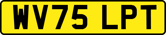 WV75LPT