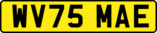 WV75MAE