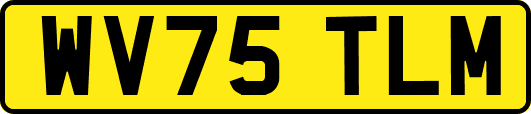 WV75TLM