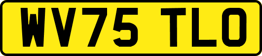 WV75TLO