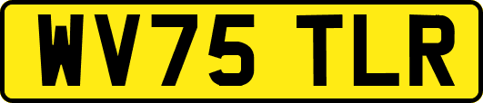 WV75TLR