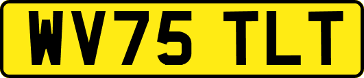 WV75TLT