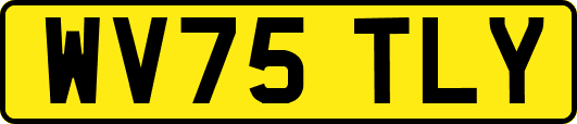 WV75TLY