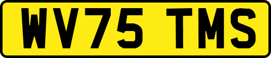 WV75TMS