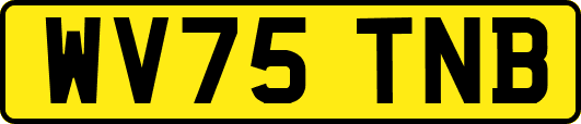WV75TNB