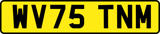 WV75TNM