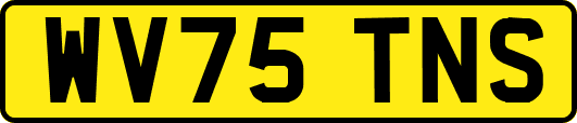 WV75TNS