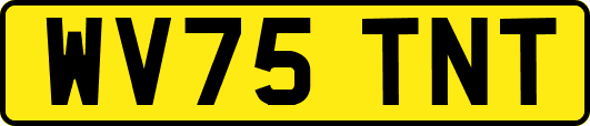 WV75TNT