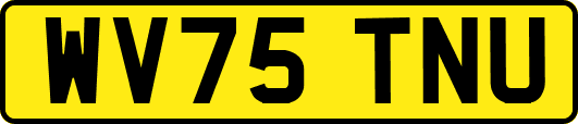 WV75TNU