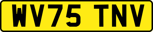 WV75TNV