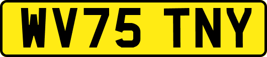 WV75TNY