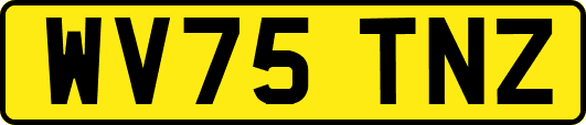 WV75TNZ