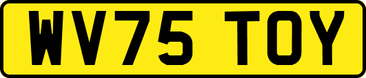 WV75TOY