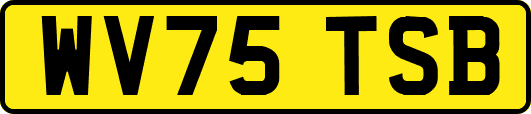 WV75TSB