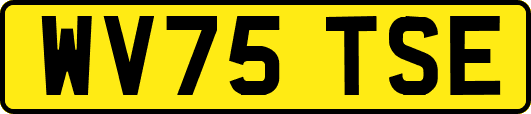 WV75TSE