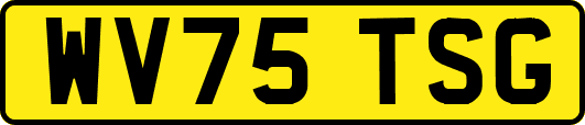 WV75TSG