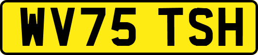 WV75TSH