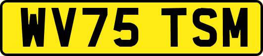 WV75TSM