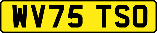 WV75TSO