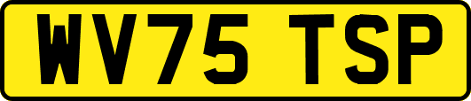 WV75TSP