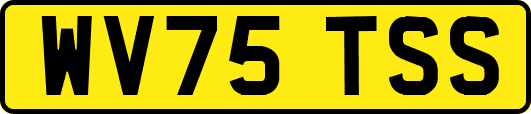 WV75TSS