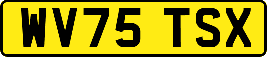 WV75TSX