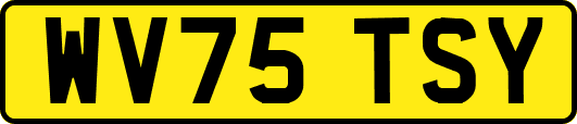 WV75TSY