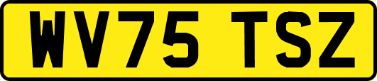 WV75TSZ