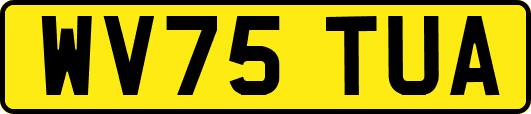 WV75TUA