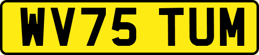 WV75TUM