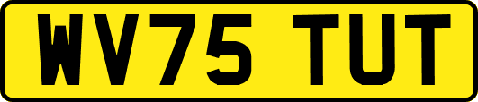 WV75TUT