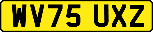 WV75UXZ