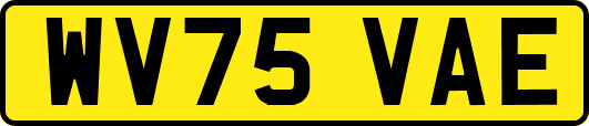 WV75VAE