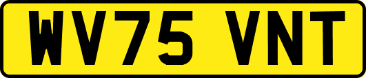 WV75VNT