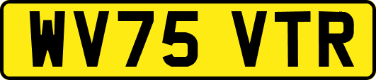 WV75VTR