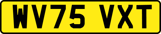 WV75VXT
