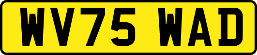 WV75WAD