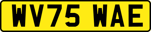 WV75WAE