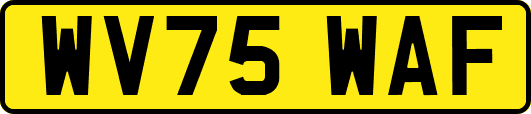 WV75WAF