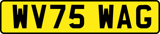 WV75WAG