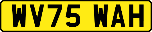 WV75WAH