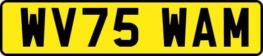 WV75WAM